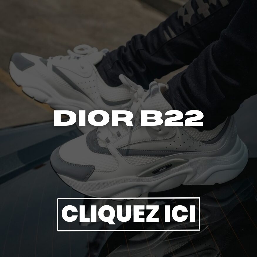 Dior B22