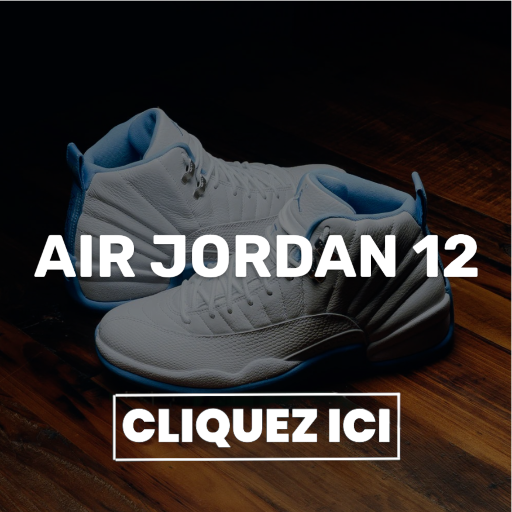 Air Jordan 12