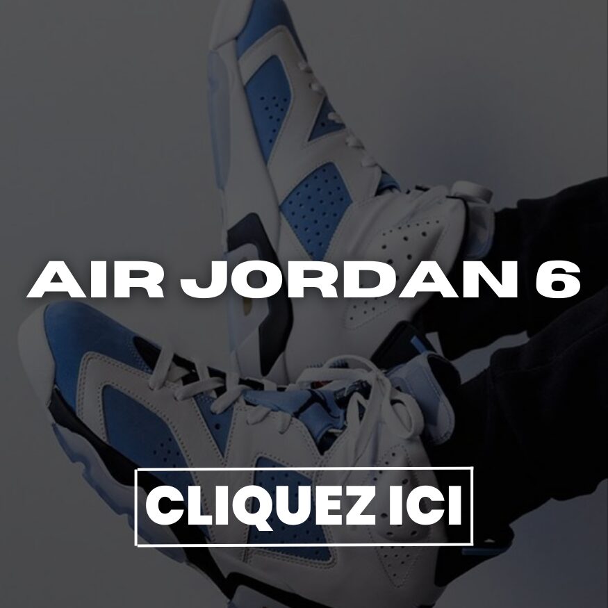 Air Jordan 6